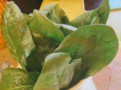 -旧县羊蝎子(旧县店)