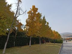 -金陵图书馆