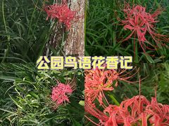 -升仙湖公园