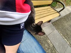 -苏州河梦清园环保主题公园