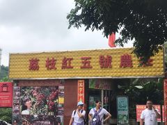 门面-荔枝红五号农庄