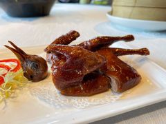 乳鸽-三号黄浦会Canton Table