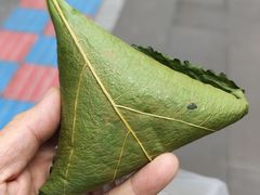 -叶婆婆豆浆馍馍