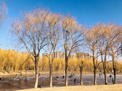 -东坝千亩湖公园