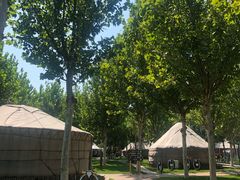 -九十九顶毡房(阜石路店)