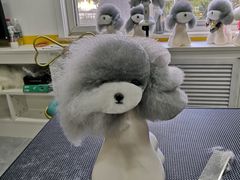 -优缇多格专业宠物美容师培训学校