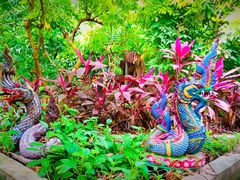 -呀路古热带植物园