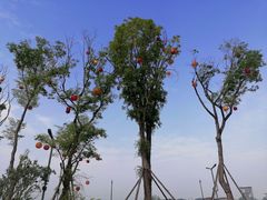 -中国天府农业博览园