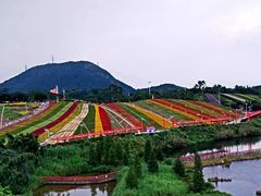 -东部华侨城