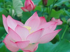 -贵阳蓬莱仙界