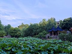 -郑和公园
