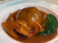 -顺轩海鲜火锅酒家