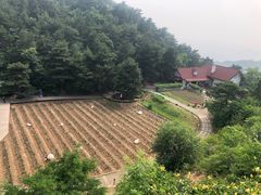 -云峰山自然风景区