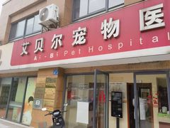 -艾贝尔宠物医院 ·内科全科(梁溪路店)