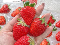 -永辉超市(晋江万达广场店)