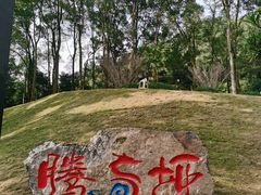 -缙云山景区