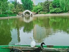 -团结湖公园