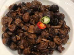 房县小花菇-亢龙太子酒轩(东湖店)