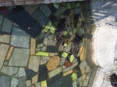 iphone_upload_pic-百鸟园