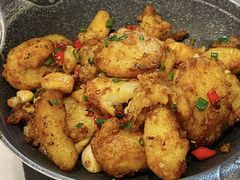 -新蜀会四川豆花(五羊店)