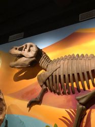 点击看大图 -北京科学中心儿童乐园