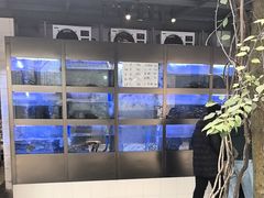 -鱼凫人家