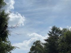 -帽儿山国家森林公园