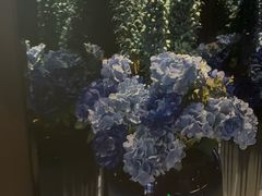 -番茄按摩·影院足道·柔足SPA(龙之道国顺路店)