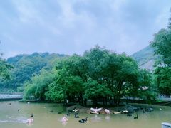 -黔灵山公园