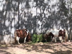 -茱萸湾风景区-售票处