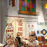 在深圳❗这家就是我心目中深圳TOP焗海鲜 