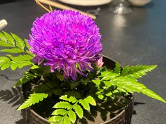 -茶人村·前滩江景雅宴(上海首店)