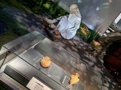 -汝州市汝瓷博物馆