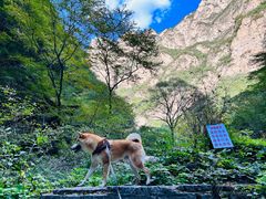 -龙门涧景区