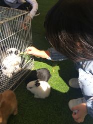 -萌宠亲子动物乐园(槐房万达店)