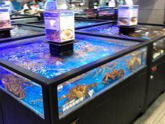 水产区-盒马鲜生(189购物中心店)