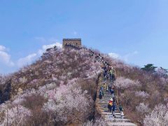 -龙泉峪长城