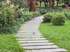 -晓港公园