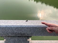 -黄巢水库
