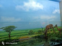 -国家自然博物馆