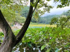 -韶山毛泽东同志故居