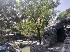 -和园景逸大酒店朗月汤泉