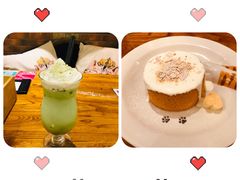 -more than meow吴止猫主题餐厅(承德 中船汇店)