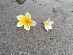 -库塔海滩