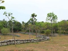 -聚龙山公园