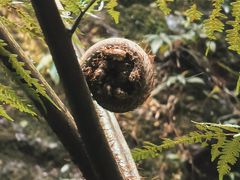 -赤水丹霞旅游区·佛光岩