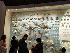 -贝林大翅鲸简餐厅(国家海洋博物馆店)