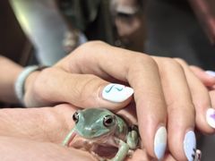 -帕帕拉兹宠物(亚洲旗舰店)