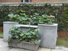 -一尺花园(安和花园店)