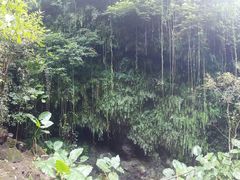 -海口火山口国家地质公园